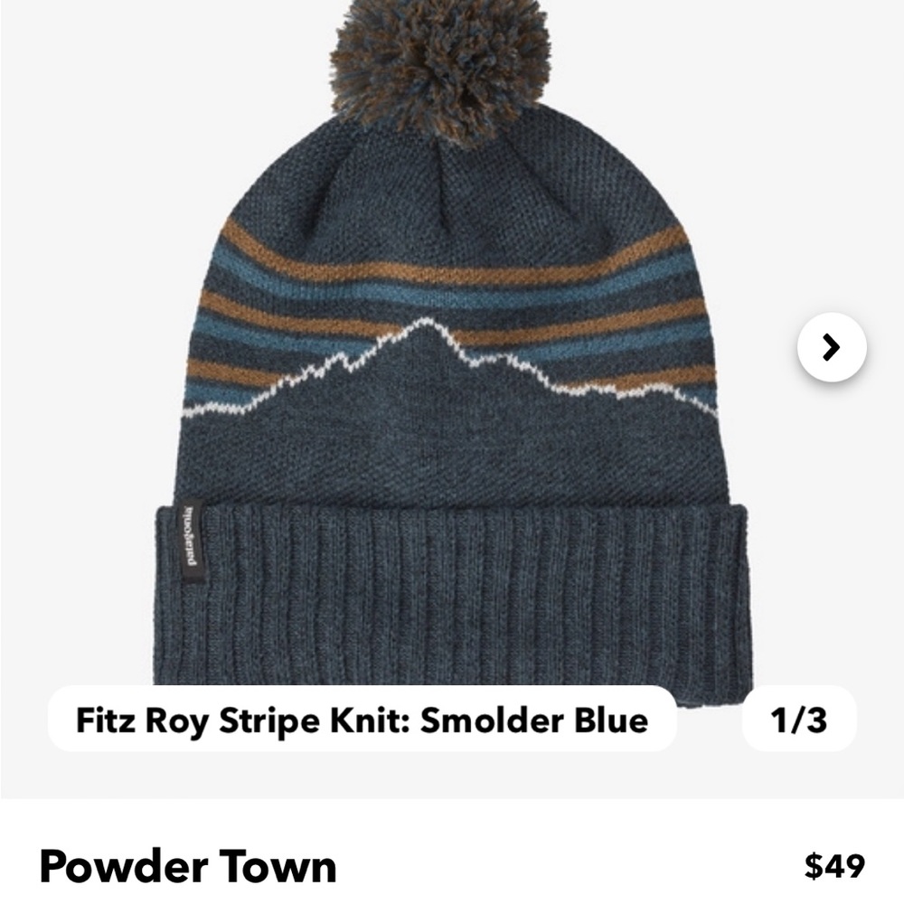 Patagonia Powder Town Beanie